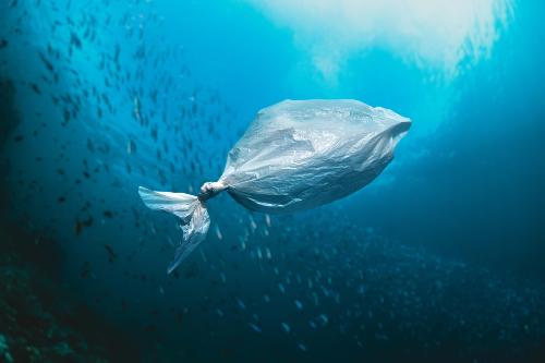 Borracce personalizzate, sacchetti di plastica in mare
