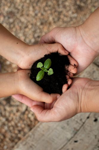 Giornata della conservazione della natura