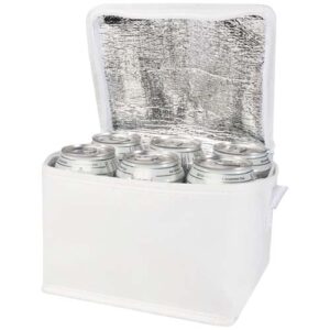 Borsa termica con capacità per 6 lattine in tessuto non tessuto riciclato certificato GRS Spectrum - 4L