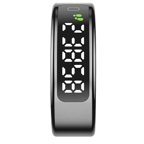 1PA61904_F1