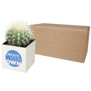 Vaso in alluminio con pianta, cactus Hey Pots