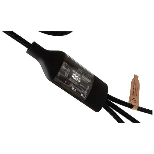2PX16290_D2